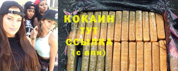 ПСИЛОЦИБИНОВЫЕ ГРИБЫ Белокуриха