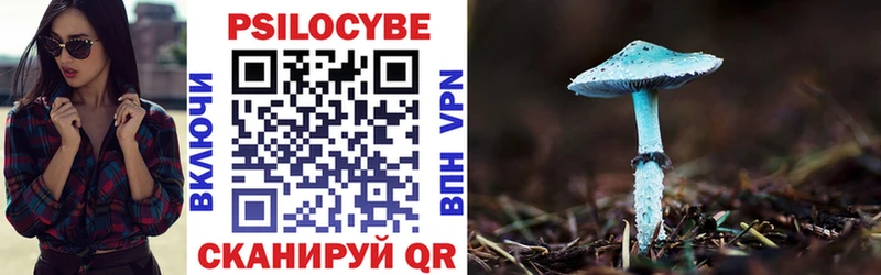 Купить  Губаха  Галлюциногенные грибы MAGIC MUSHROOMS 